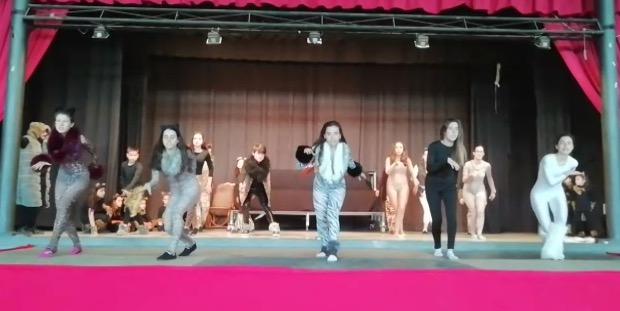 Gats, el nou musical dels 35 anys de l'Acudit d'Alfarràs