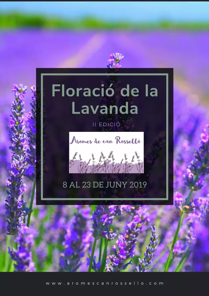 II Floració de la Lavanda - Aromes de Can Rosselló