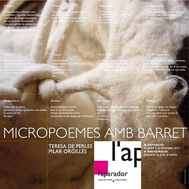 'Micropoemes amb barret'
