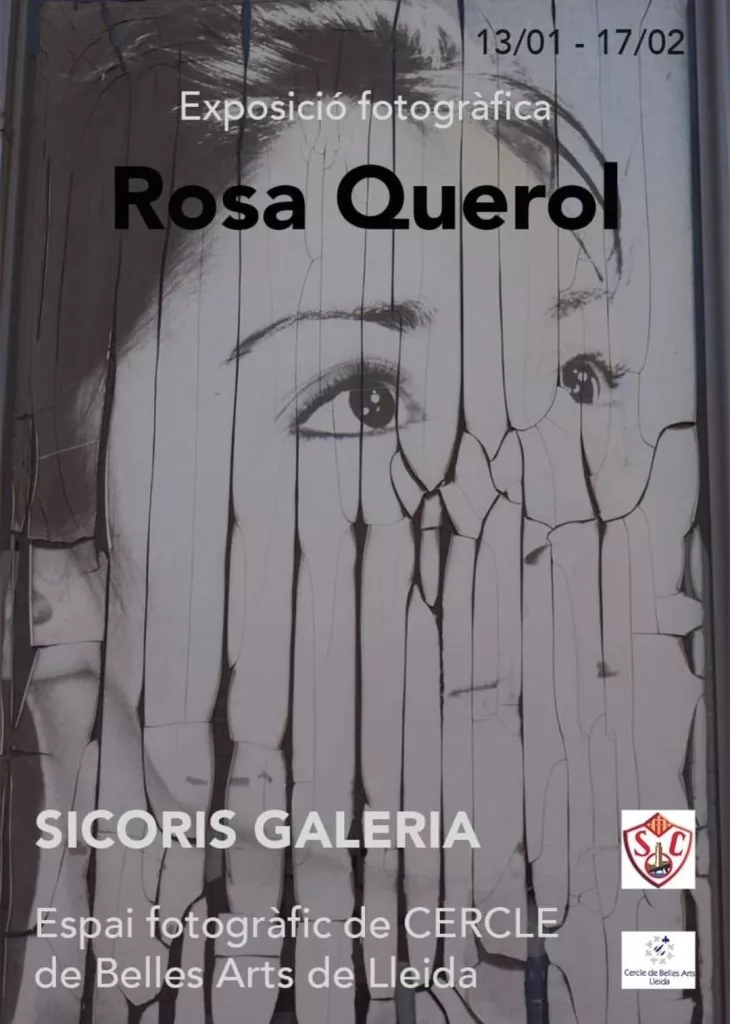 Rosa Querol