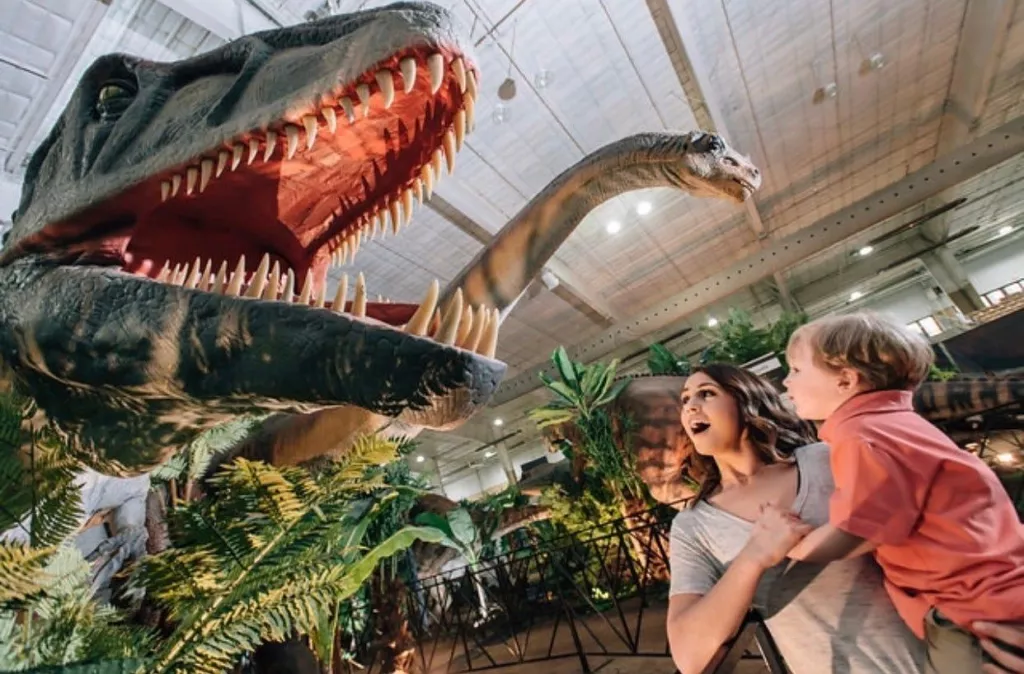 Dinosaurs Tour