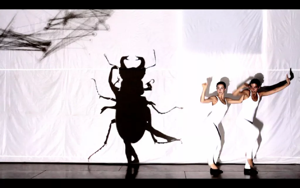 Insectum