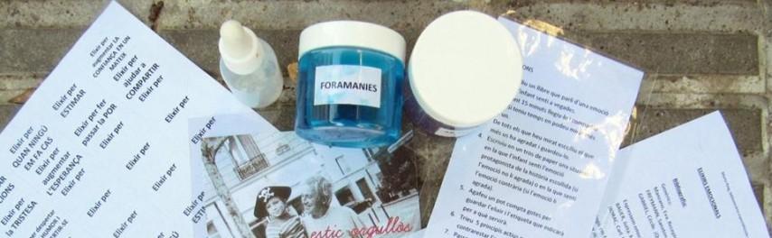 Jornada professional: El laboratori dels laboratoris