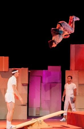 Ludo Circus Show