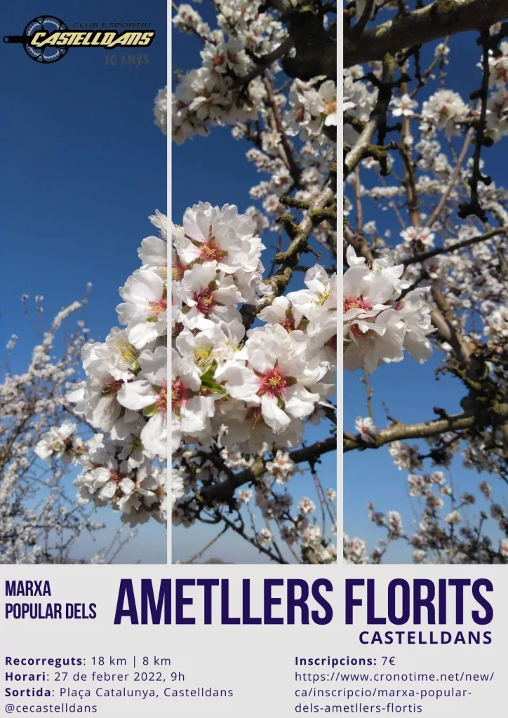 Ametllers Florits a Castelldans