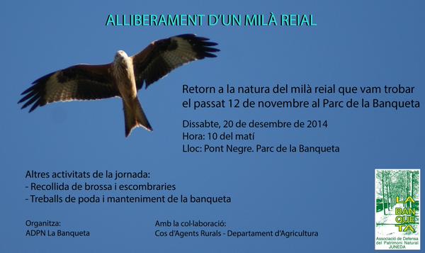 Alliberament d’un Milà Reial