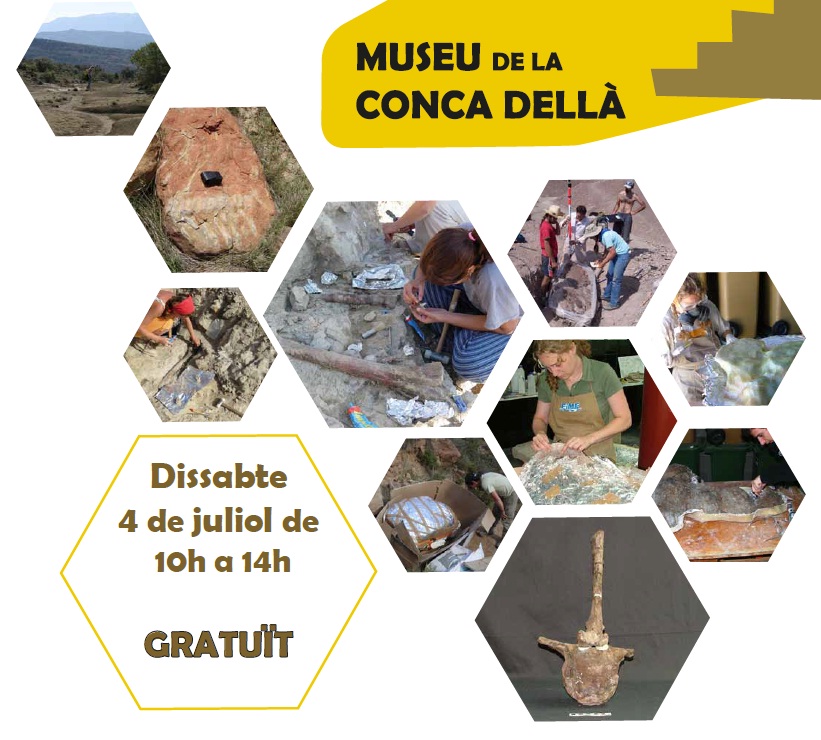 Dinosaures. Fes de paleontòleg!