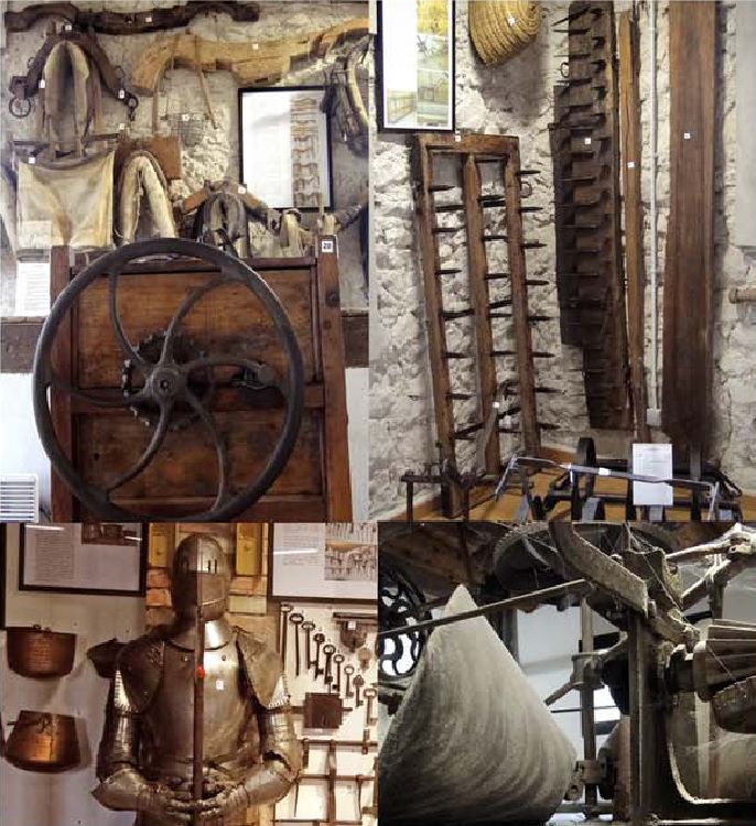 Museu de l'Evolució