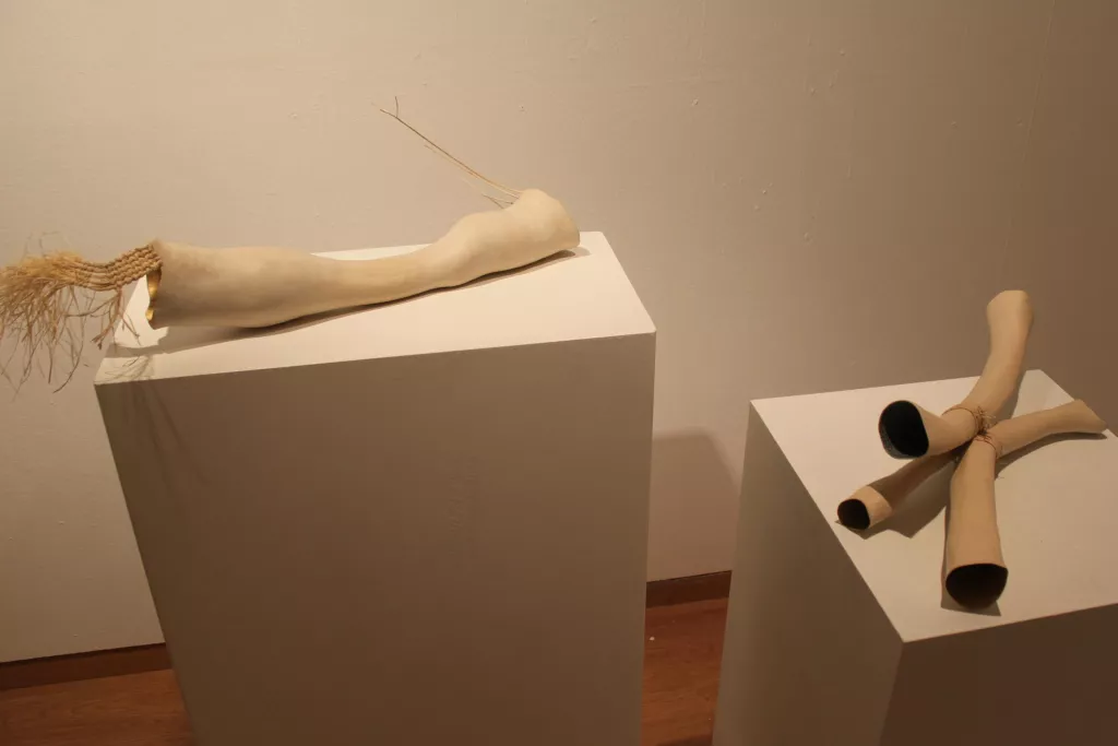 'Objectes'. Jose Davila