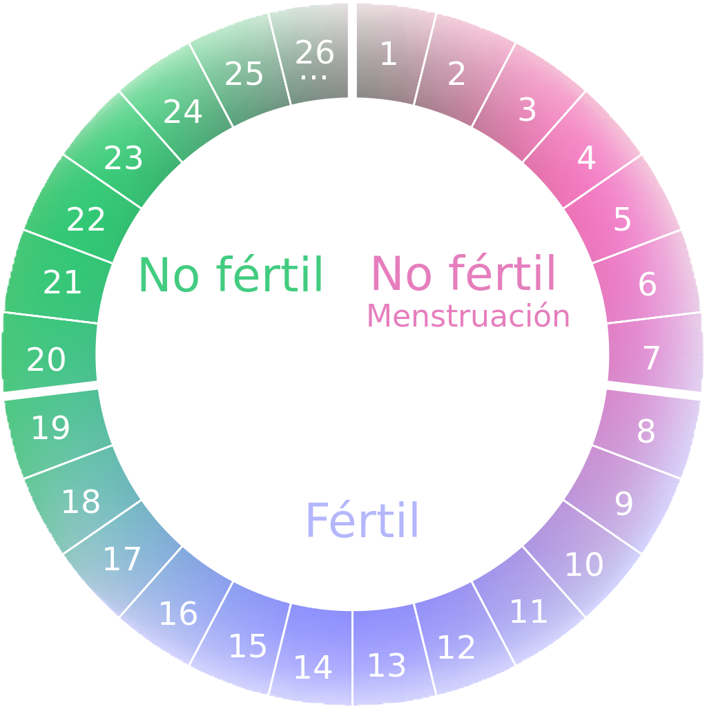 Cercle de dones: “Coneix les energies del cicle menstrual”