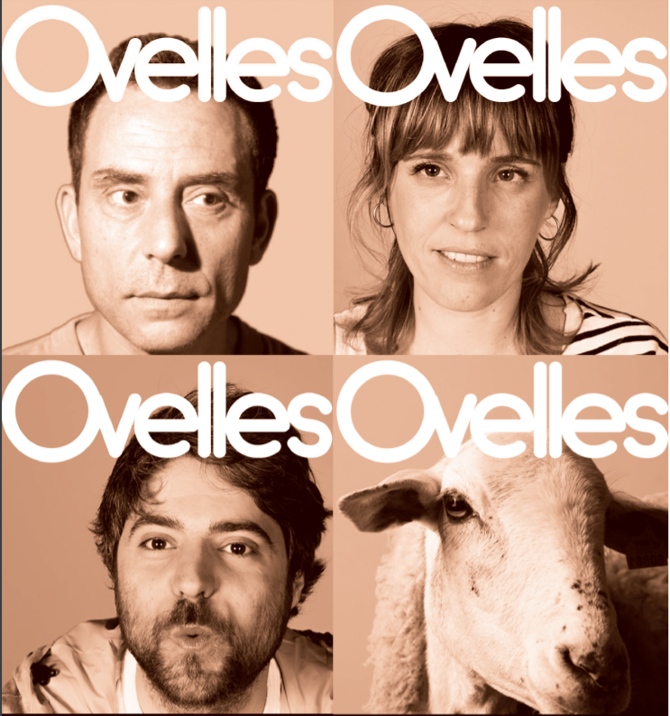 Ovelles - Cicle Apassiona't