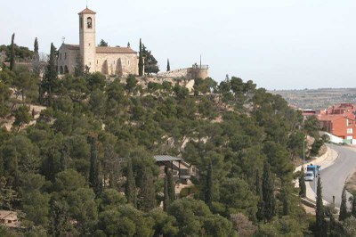 Festa de l'Arbre