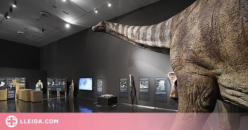 Què tenim sota els peus? | Exposició
