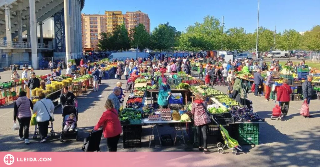 Mercat del Camp d'Esports