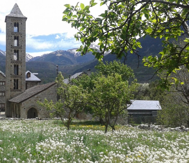 Caminem pel romànic
