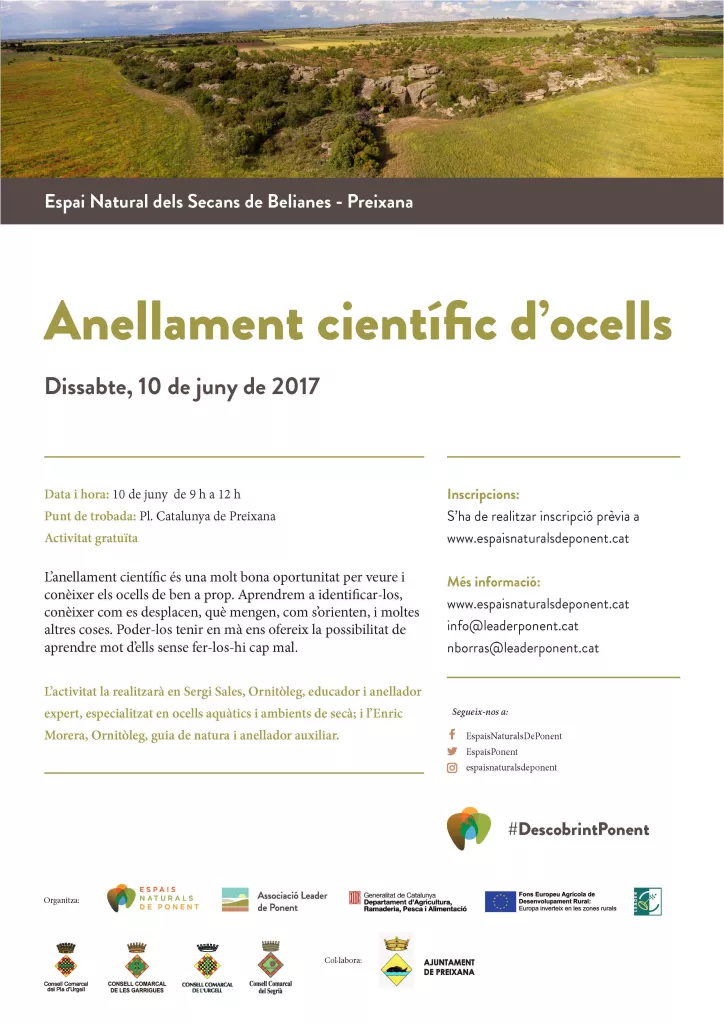 Anellament científic d'ocells