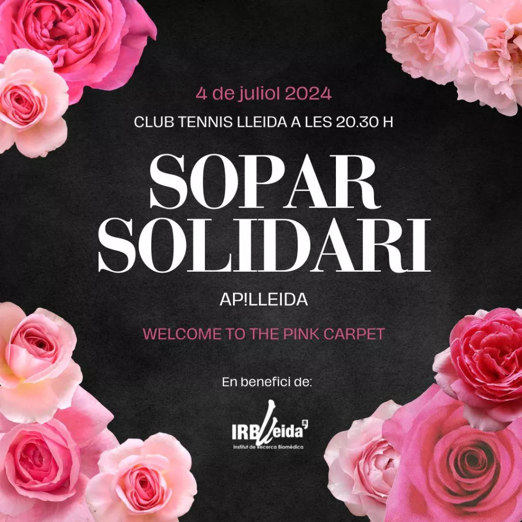 Sopar Solidari d'Ap!Lleida