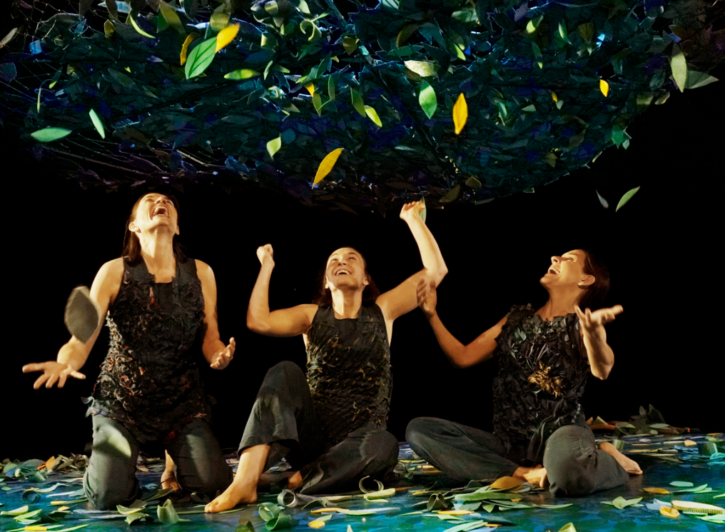 SOTABOSC - Inspira Teatre