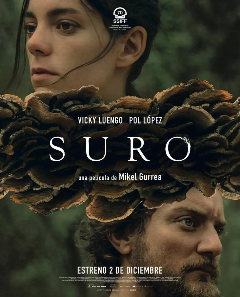 Suro - Cicle Gaudí