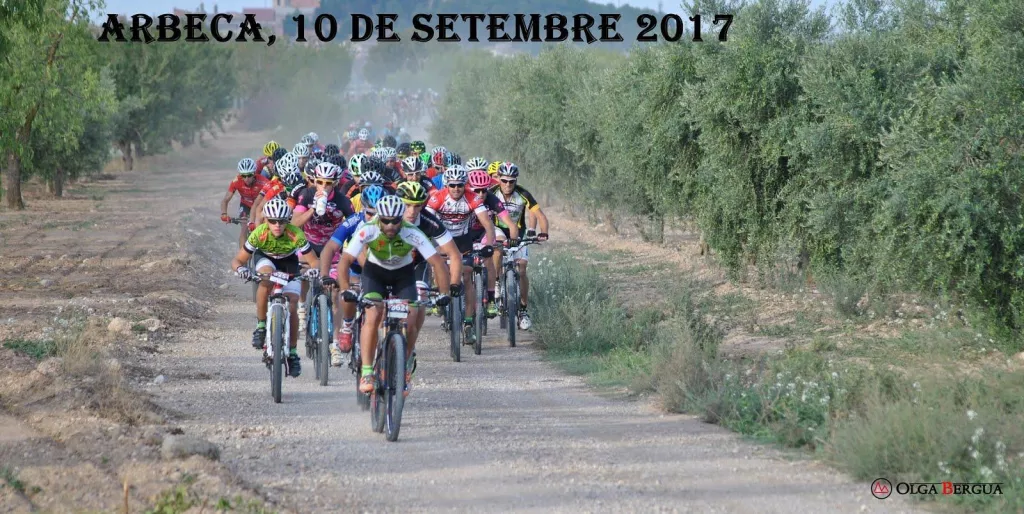 BTT Terra d'Oliveres 2017