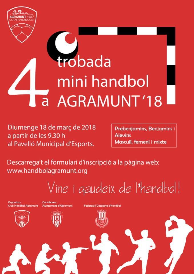 Trobada de Mini Handbol