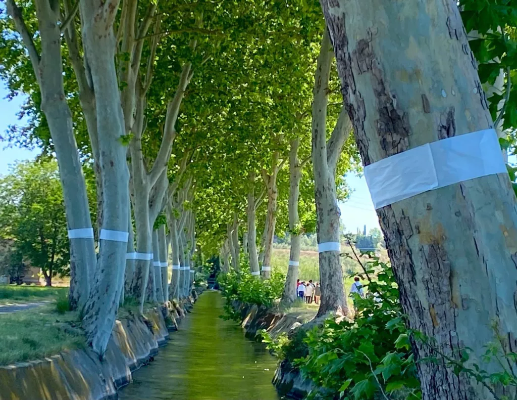 "De ruta pel Canal de Juneda"