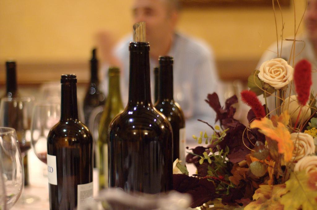 Tast guiat de 5 vins