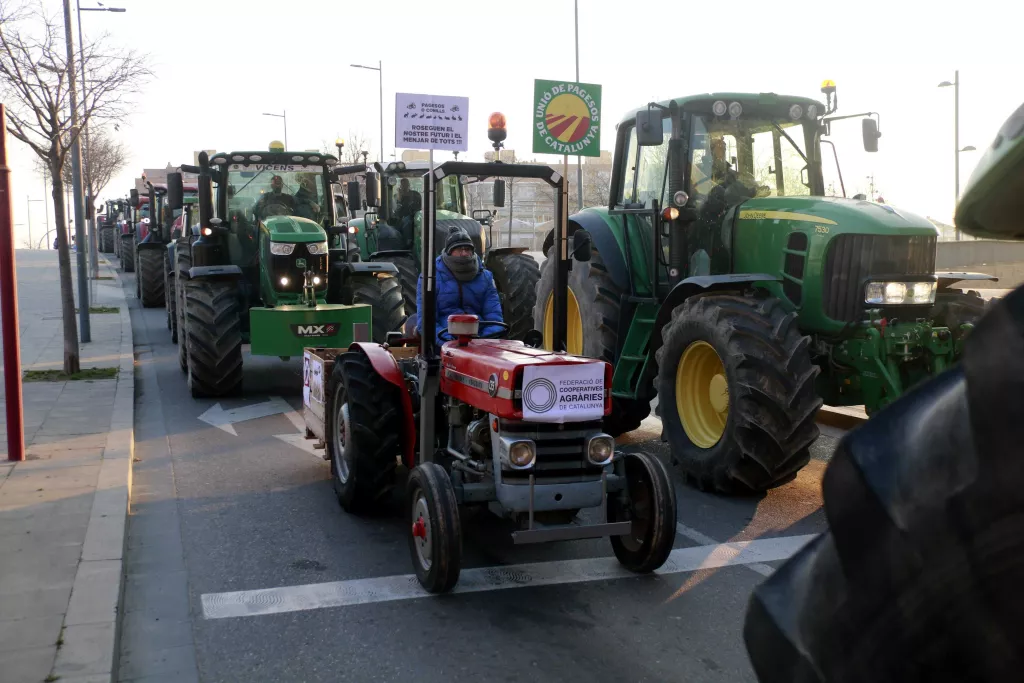 ⏯️ Agricultors llancen conills a les portes d'Acció Climàtica de Lleida com acció de protesta