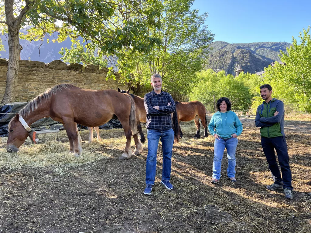 Llavorsí impulsa una fira per reivindicar el Cavall Pirinenc Català