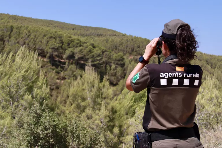 Els Agents Rurals restringiran aquest diumenge l'accés a la Baronia de Rialb i la Serra de Mont-roig pel risc d'incendi