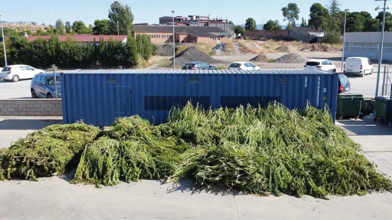 La comissaria de Mossos de les Borges, plena de marihuana