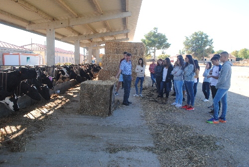 L’Institut Mollerussa, amb 700 inscrits a cicles formatius i uns altres 100 en llista d’espera