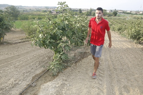 Acaba la campanya de regs sense restriccionsi amb un 20% menys d’aigua als pantans