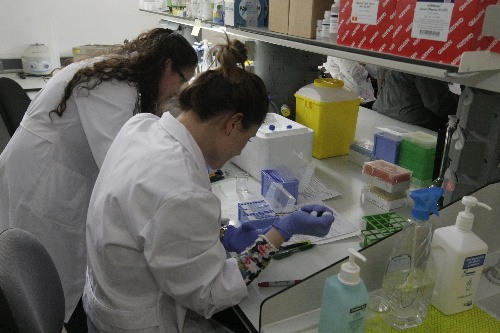 L’IRB capta 2,5 milions en ajudes per a investigació, un 7% més