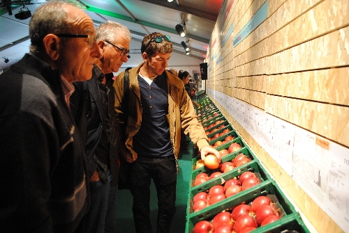 Pomes més saboroses per reactivar-ne el consum