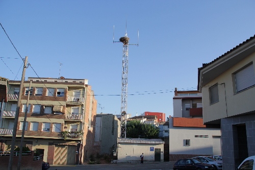 Ipcena demana investigar una antena a Alguaire