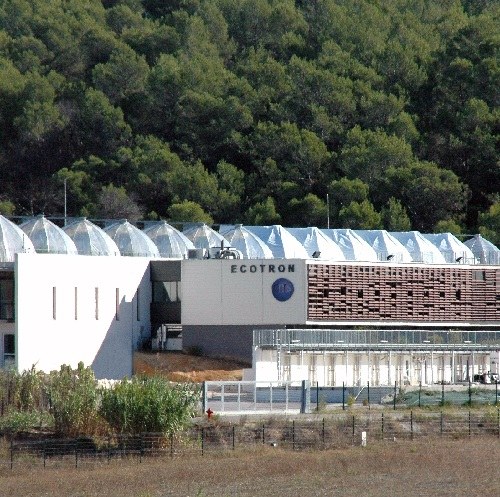 La ‘memòria’ de les plantes, clau per predir el canvi climàtic, segons la UdL