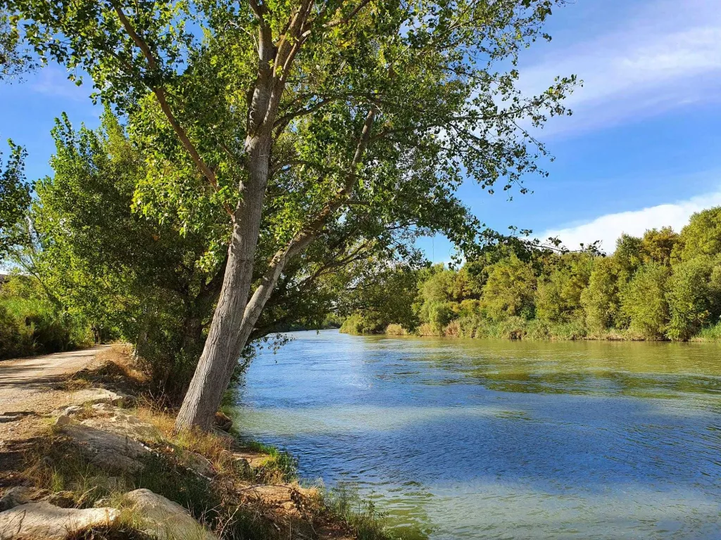 Infants de la Granja d'Escarp descobreixen el medi a l'aiguabarreig
