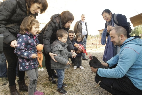 Cent masies de l’Horta podran acollir negocis addicionals a l’agricultura