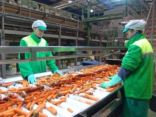 Indulleida inverteix 2,4 milions en una planta per a biomassa vegetal