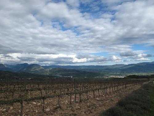 El Pallars mira cap a l’enoturisme de la Toscana