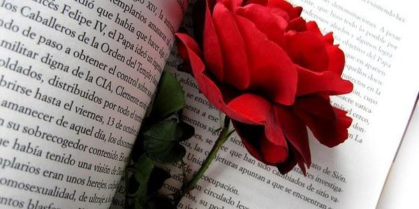 Sant Jordi excepcional amb manualitats