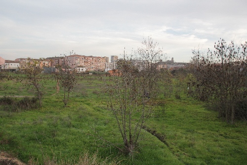 L’Horta té sis-centes hectàrees de finques abandonades, el 5% de la superfície agrícola