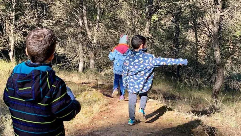 Buscatroncs al parc de Corbins