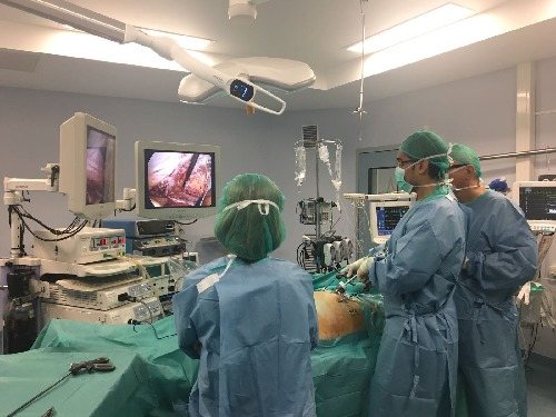 Curs de cirurgia abdominal a l’hospital Arnau