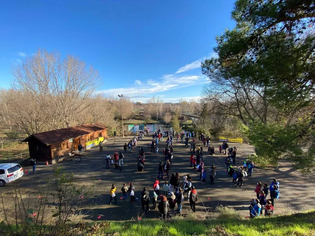 Buscatroncs al parc de Corbins