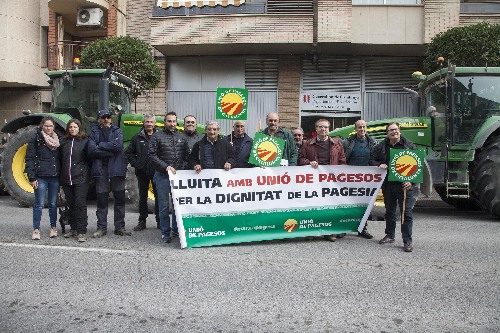 La plaga de conills danya el 20% de la collita, segons UP