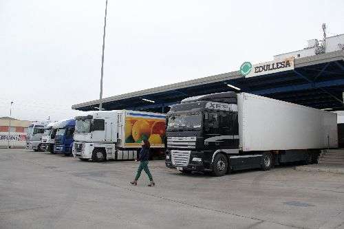 La falta d’inspectors obliga fructícoles de Lleida a exportar des d’altres duanes
