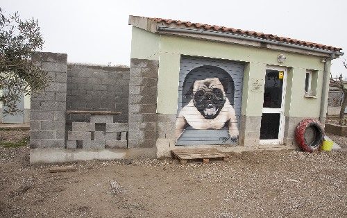 La protectora de Tàrrega registra més adopcions d’animals que entrades