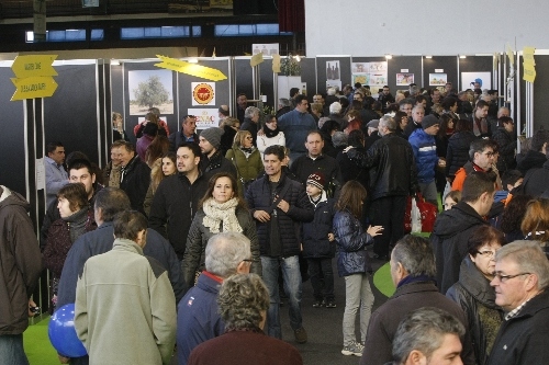 Més de 160 expositors en la 54a Fira de l’Oli, que ocuparà també el Terrall